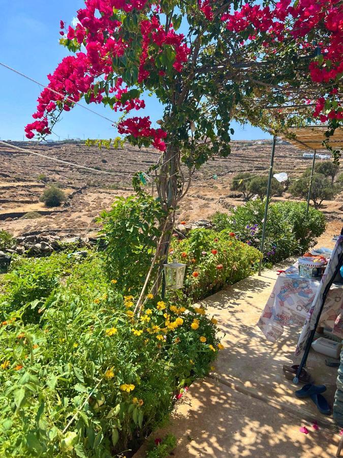 Lemon Houses - Faros, Sifnos מראה חיצוני תמונה